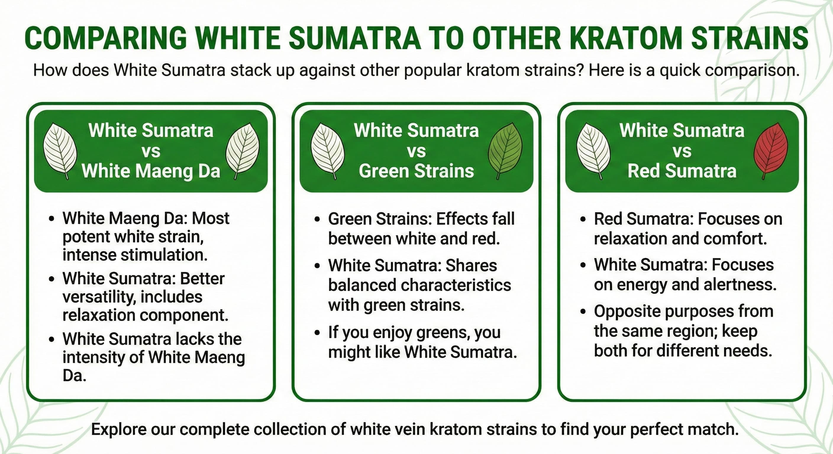 Comparision of White Sumatra